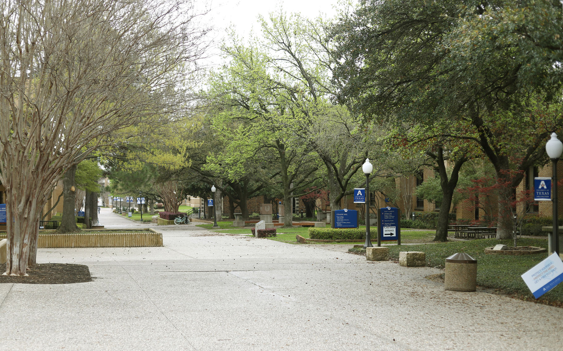 UTA to conduct Maymester, summer classes online only